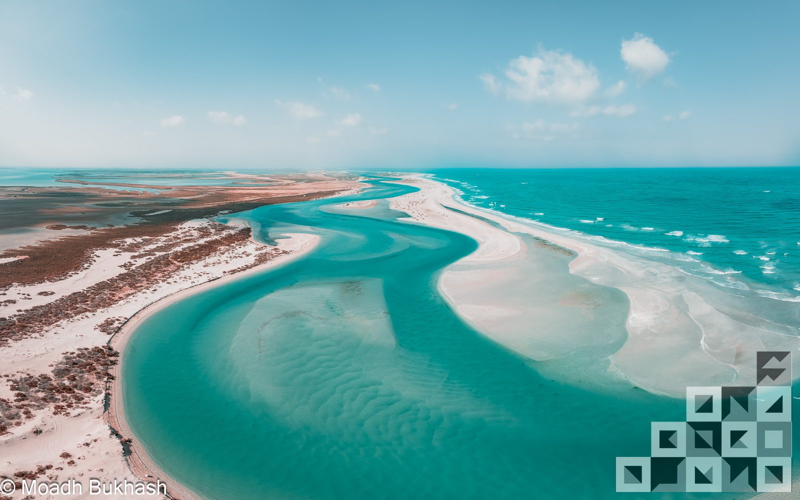 Aerial coastline reading as a brushstroke