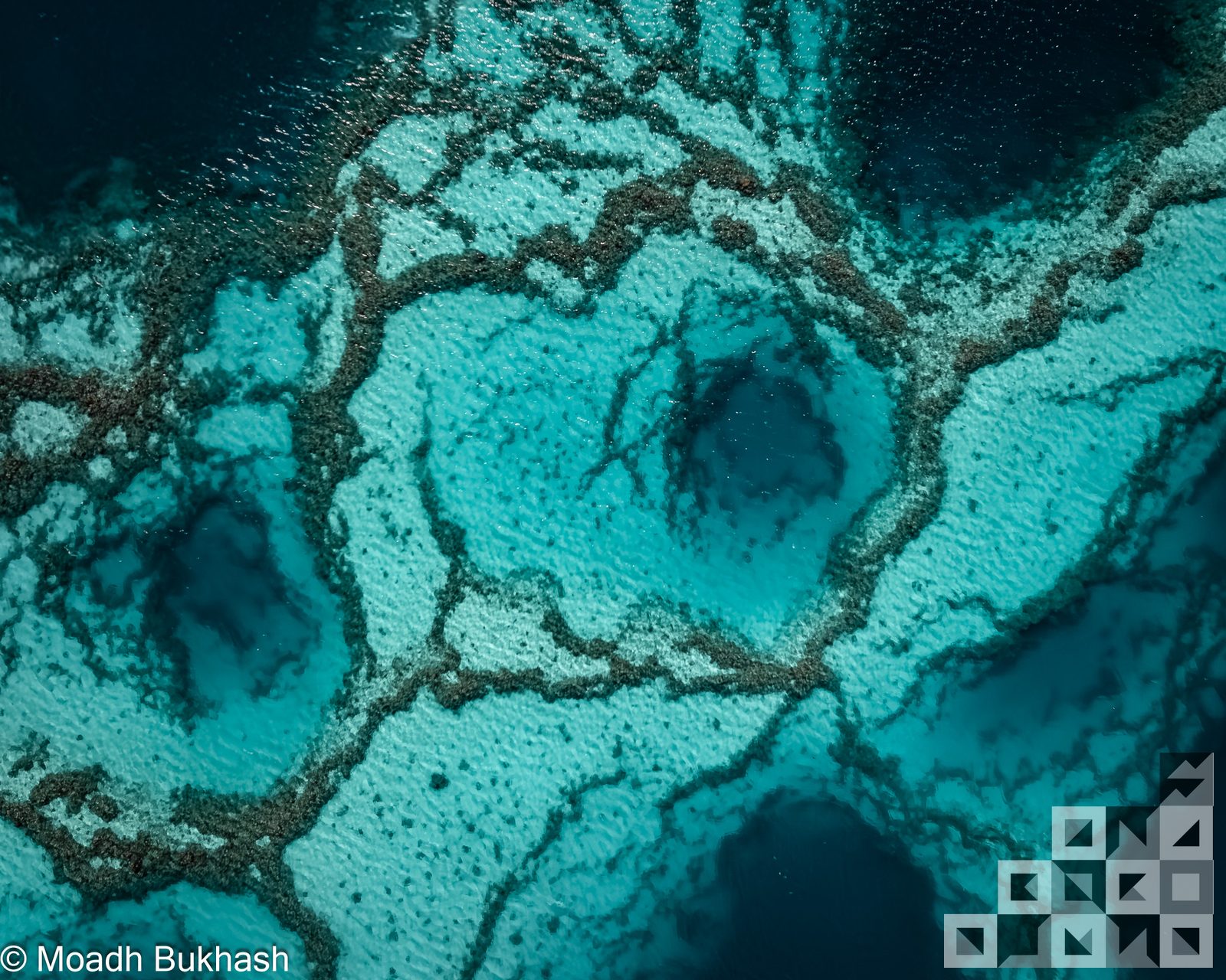 Reef formation and shallow water